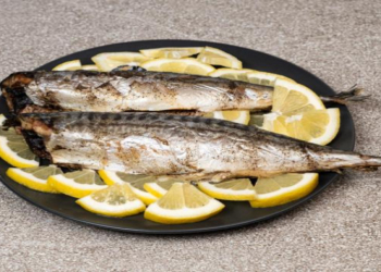 Mədə üçün ən uyğun balıq növü açıqlanıb