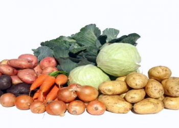 Orqanizmin təmizlənməsinə dəstək olan təsirli məhsullar