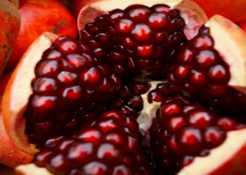 Fevral ayında ən faydalı meyvələr açıqlandı