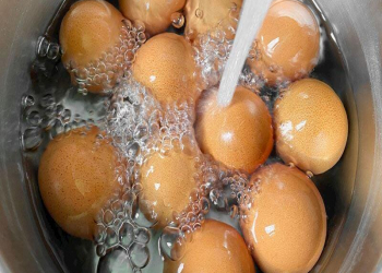 Gündə nə qədər protein qəbul etməliyik?