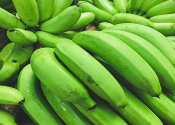 Tam yetişməmiş banandakı nişasta sağlamlıq üçün faydalıdır?