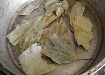 Avokado yarpaqlarını qaynadıb için - Faydaları