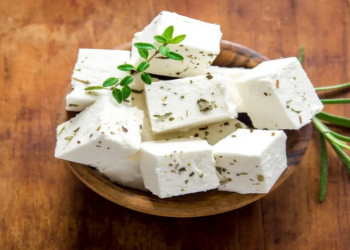 Diyetoloq arıqlama zamanı hansı pendirlərin yeyilə biləcəyini açıqlayıb