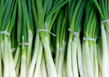 Yaşıl soğan: faydaları və kimlər üçün məhdudiyyətlər var?