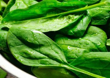 Bu tərəvəz qan təzyiqini normallaşdırır