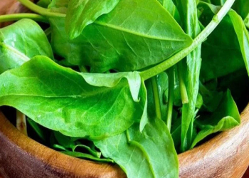 Yanından keçirik, amma şəfasınl bilmirik...