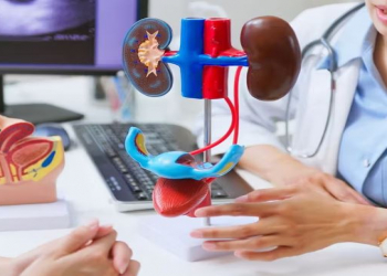 Həkim izah etdi: Böyrək funksiyasının zəifləməsinə nə səbəb olur