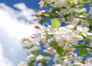 Psixiatr açıqladı: “yaz gərginliyi” əslində kimlərdə müşahidə olunur