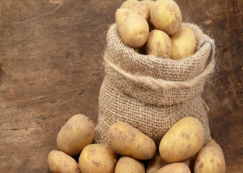 Badam arıqlama prosesini sürətləndirə bilər – yeni araşdırma