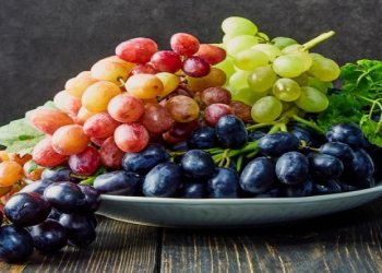 Alimlər uzunömürlülüyə kömək edən giləmeyvəni müəyyənləşdiriblər