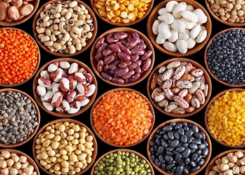 Bitki mənşəli dəmir və lif mənbəyi hansı qidalardır?