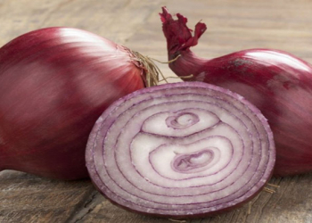 Təzə soğan hər kəs üçün faydalı deyil – həkim kimlərə qadağan olunduğunu açıqladı
