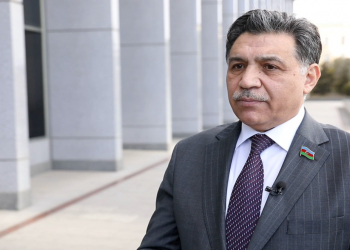 Deputat: Quzuların erkən yaşda kəsilməsi təbii artımın qarşısını alır