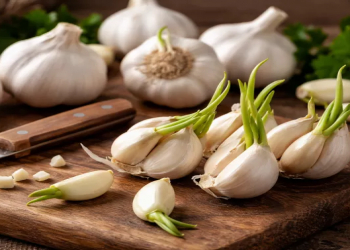Cücərmiş sarımsağı yemək olar? - miflər və reallıq