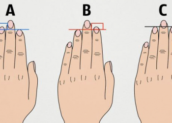 Barmaqların uzunluğu idman potensialını göstərə bilər