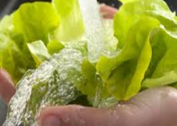 Ağ sirkə ilə yuyulan meyvələr uzun müddət təzə qalır