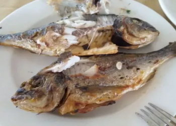 Balıq yedikdən sonra çay içməyin – Dietoloqlar səbəbini izah edir