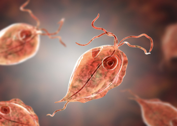 Yazda bağırsaq infeksiyaları niyə artır?  – Əsas səbəblər