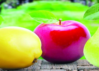 Qaraciyər xərçəngi xəstələri üçün faydalı qidalar