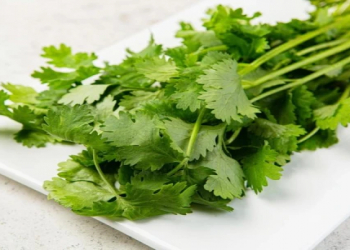 Kinzanı niyə bəziləri sevmir – alimlər səbəbi genlərdə tapdı