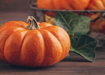 Şəkər xəstələrinə balqabaq yemək olar? - Həkimdən məsləhət