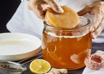 Kombuça: sağlamlıq üçün faydalı içki kimi tanınır