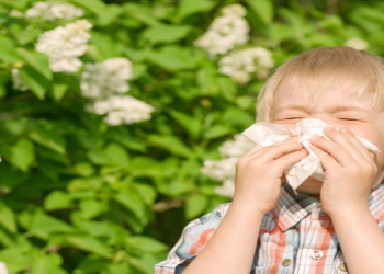 Yaz allergiyası zamanı özünüzü daha yaxşı hiss etməyin yolları açıqlanıb