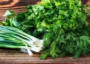 İmtahan və stress zamanı beynin "yanacağı": Hər gün bir dəstə yeyin