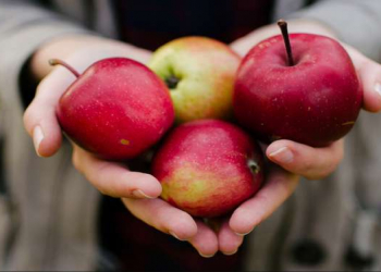 45 yaşdan sonra qadınlar üçün ən faydalı qidalar