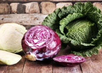 Qırmızı kələm immun sistemini gücləndirə bilər