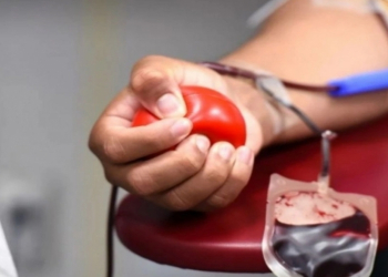 Heyvanlar insana qan donoru ola bilərmi?