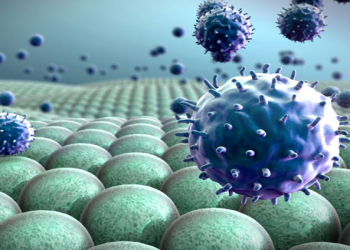 İmmuniteti gücləndirən qidalar və düzgün qidalanma qaydaları izah edildi