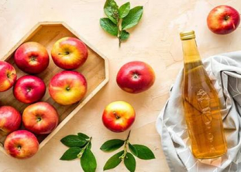 Alma sirkəsi həqiqətən sağlamlığınız üçün faydalıdırmı?