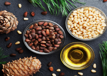 Şam fıstığı faydalıdırmı?