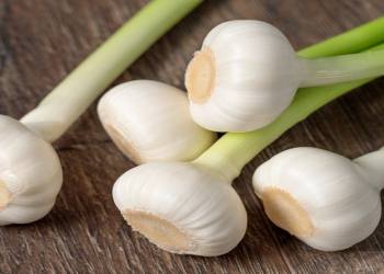 Həkimlər bu tərəvəzi “təbii antibiotik” adlandırır