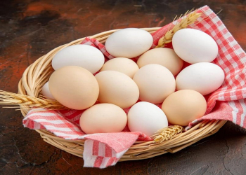 Yumurtanın təzəliyini su ilə yoxlamaq mümkündür