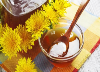 Zəncirotu mürəbbəsi nanə ilə: qeyri-adi dad və fayda bir arada