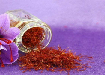 Zəfəran: Təbii şəfa mənbəyi