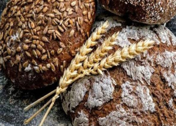 Nə buğda, nə də qarğıdalı: ürəyi ən yaxşı qoruyan çörək növü açıqlanıb