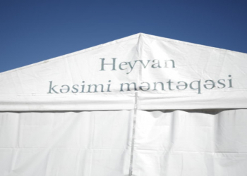 İşğaldan azad olunmuş rayonlarda qurbanlıq heyvanların satışı və kəsimi xidmətləri göstərilir