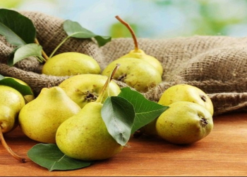 Armudun bağırsaq fəaliyyətinə faydası
