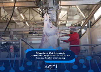 Qurbanlıq heyvanların satışı və kəsimi xidmətləri göstəriləcək ünvanların SİYAHISI