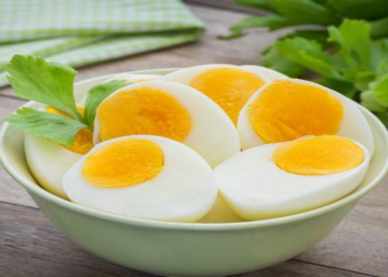 Alimlər yumurta ilə bağlı yeni nəticələri açıqladılar