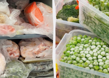 Dondurulmuş qidaların faydalı tərəfi alimləri təəccübləndirdi