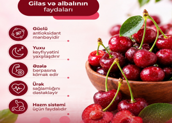 Gilas və albalının faydaları