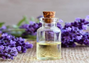 Lavanda yağı: Təbiətin sakitləşdirici və çoxşaxəli gücü