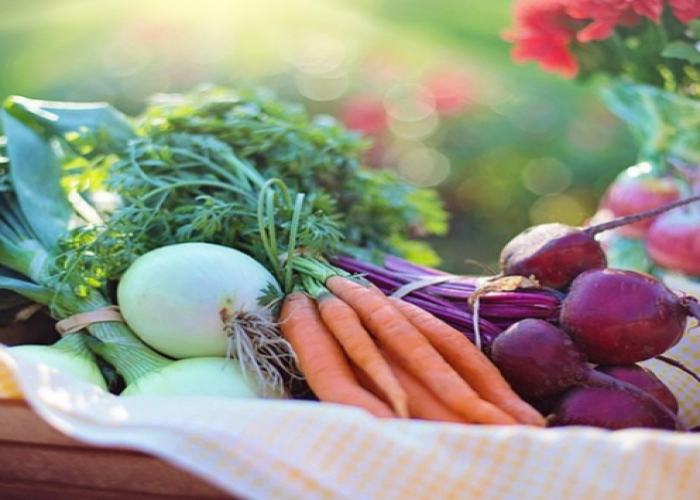 Bioloq qanı və qaraciyəri təmizləyən qidaları açıqladı