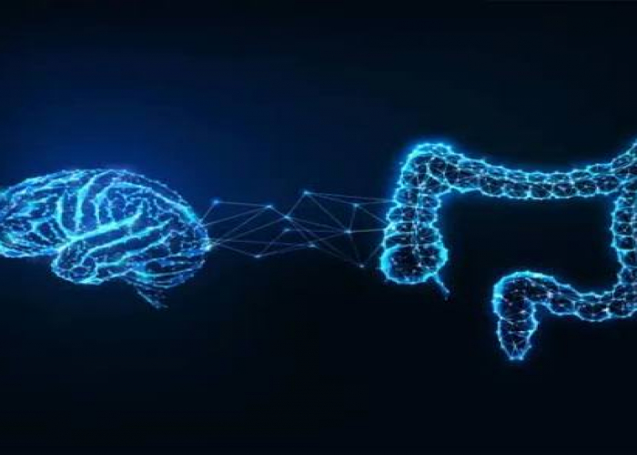 Bağırsaq sağlamlığı niyə vacibdir və onu necə yaxşılaşdırmaq olar?
