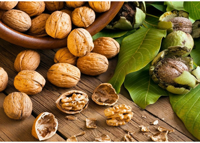 Qozun faydaları: beyin və ürək üçün təbii dəstək