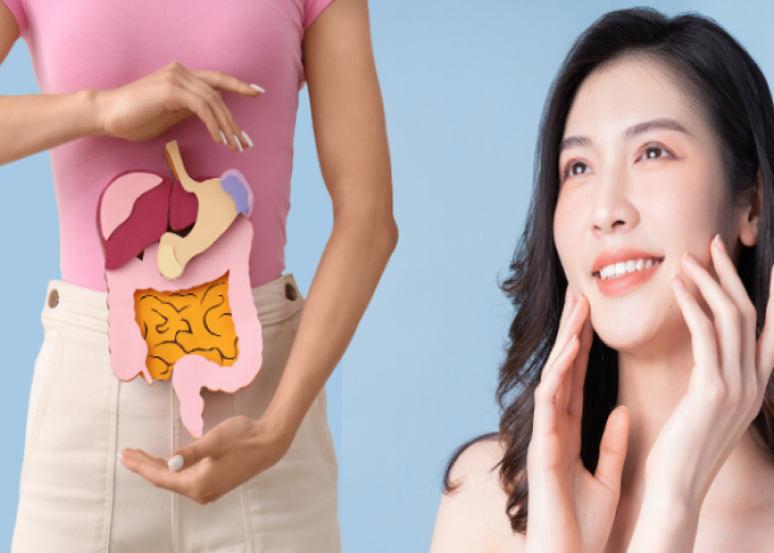 Bağırsaq sağlamlığı yaşlanmaya necə təsir edir?